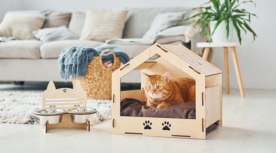 Cat lying inside of a wooden cat house
